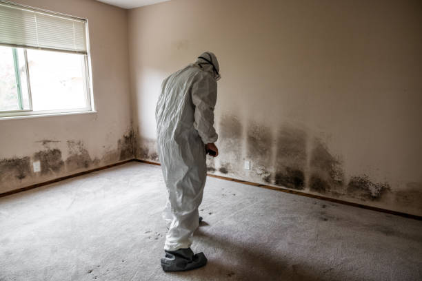 Best Forensic Mold Investigation  in Madison, FL